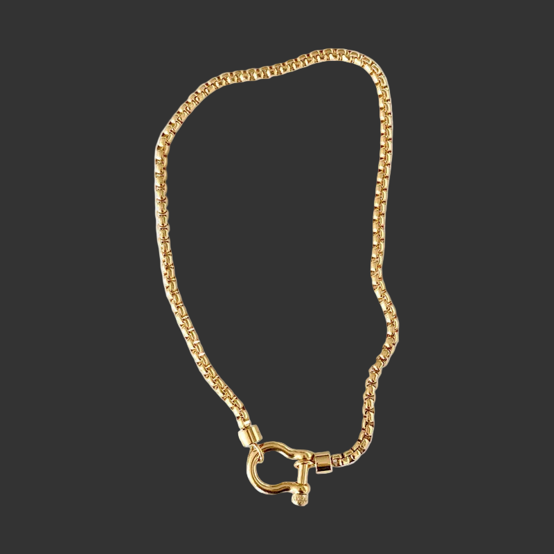 Gold necklace with horseshoe lock pendant on a black background
