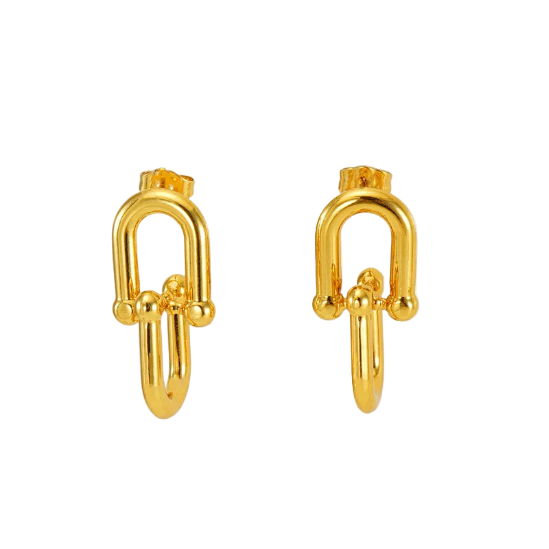 Pair of horseshoe buckle earrings on a white background